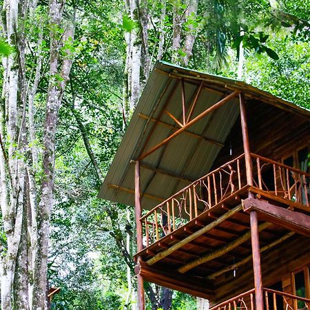 Ella Ecolodge Εξωτερικό φωτογραφία
