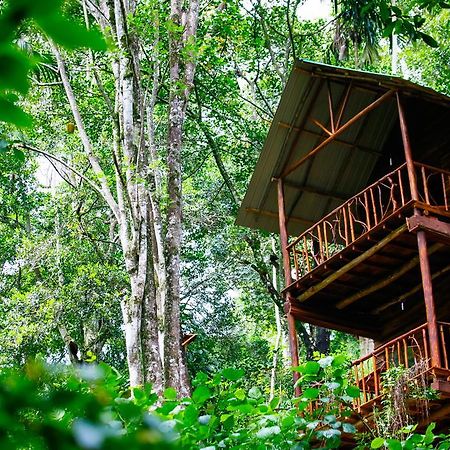 Ella Ecolodge Εξωτερικό φωτογραφία