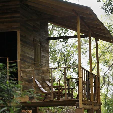 Ella Ecolodge Εξωτερικό φωτογραφία