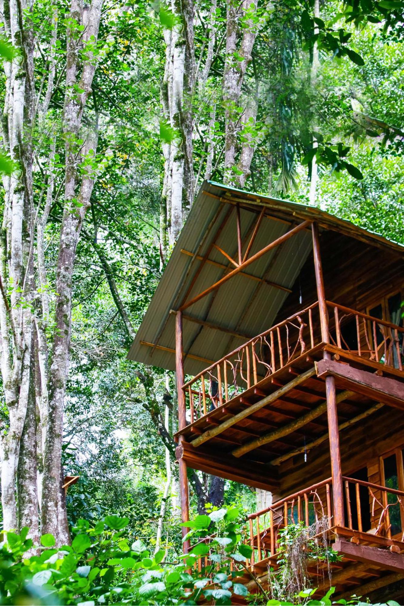 Ella Ecolodge Εξωτερικό φωτογραφία