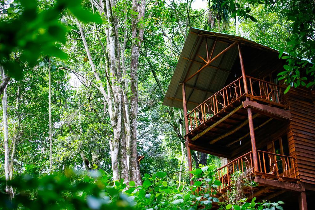Ella Ecolodge Εξωτερικό φωτογραφία