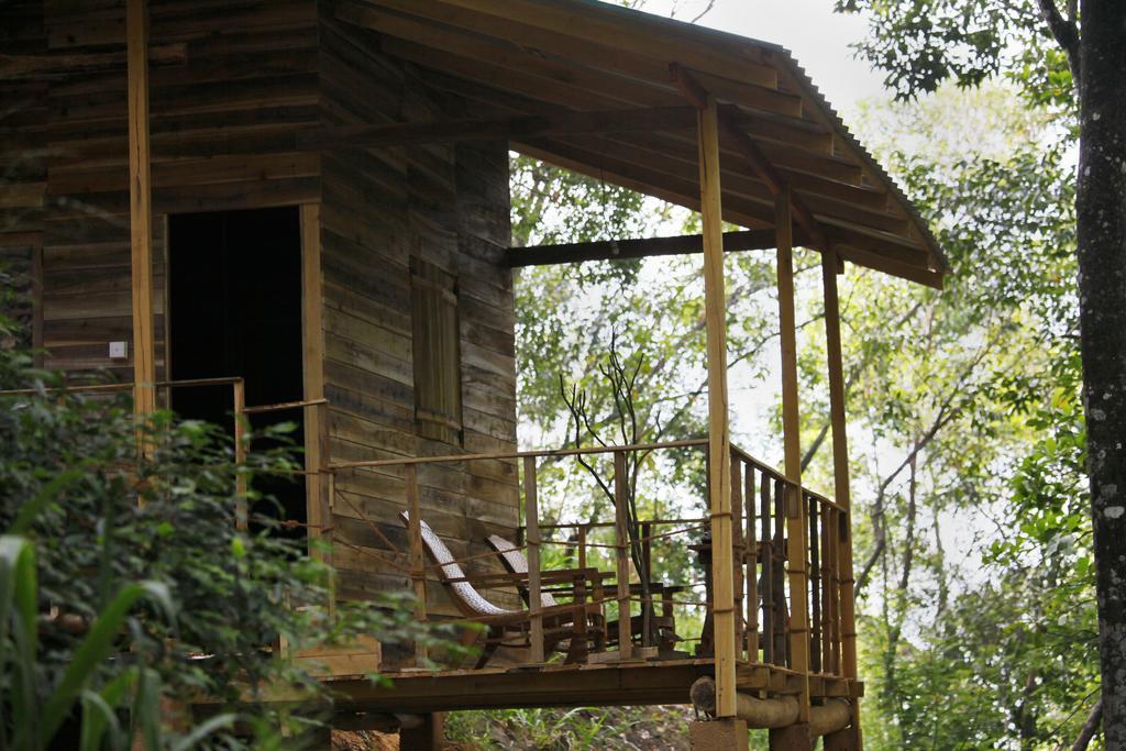 Ella Ecolodge Εξωτερικό φωτογραφία