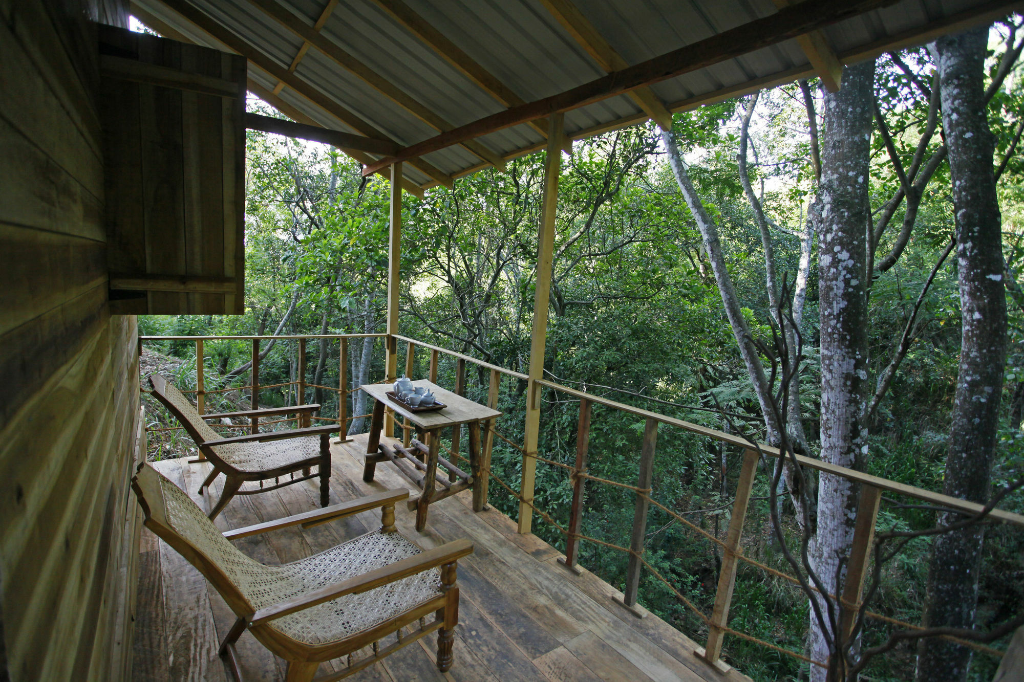 Ella Ecolodge Εξωτερικό φωτογραφία