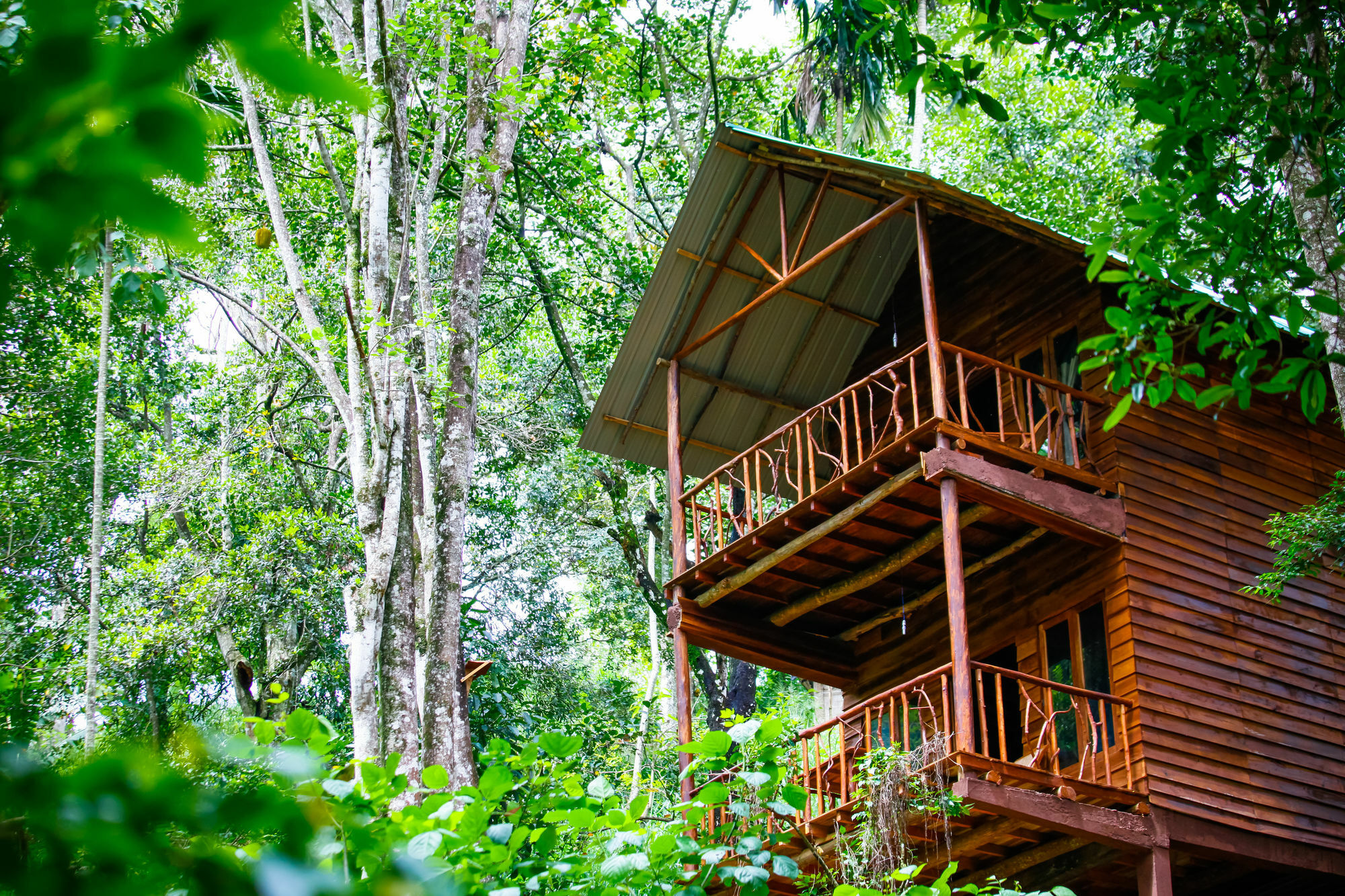 Ella Ecolodge Εξωτερικό φωτογραφία