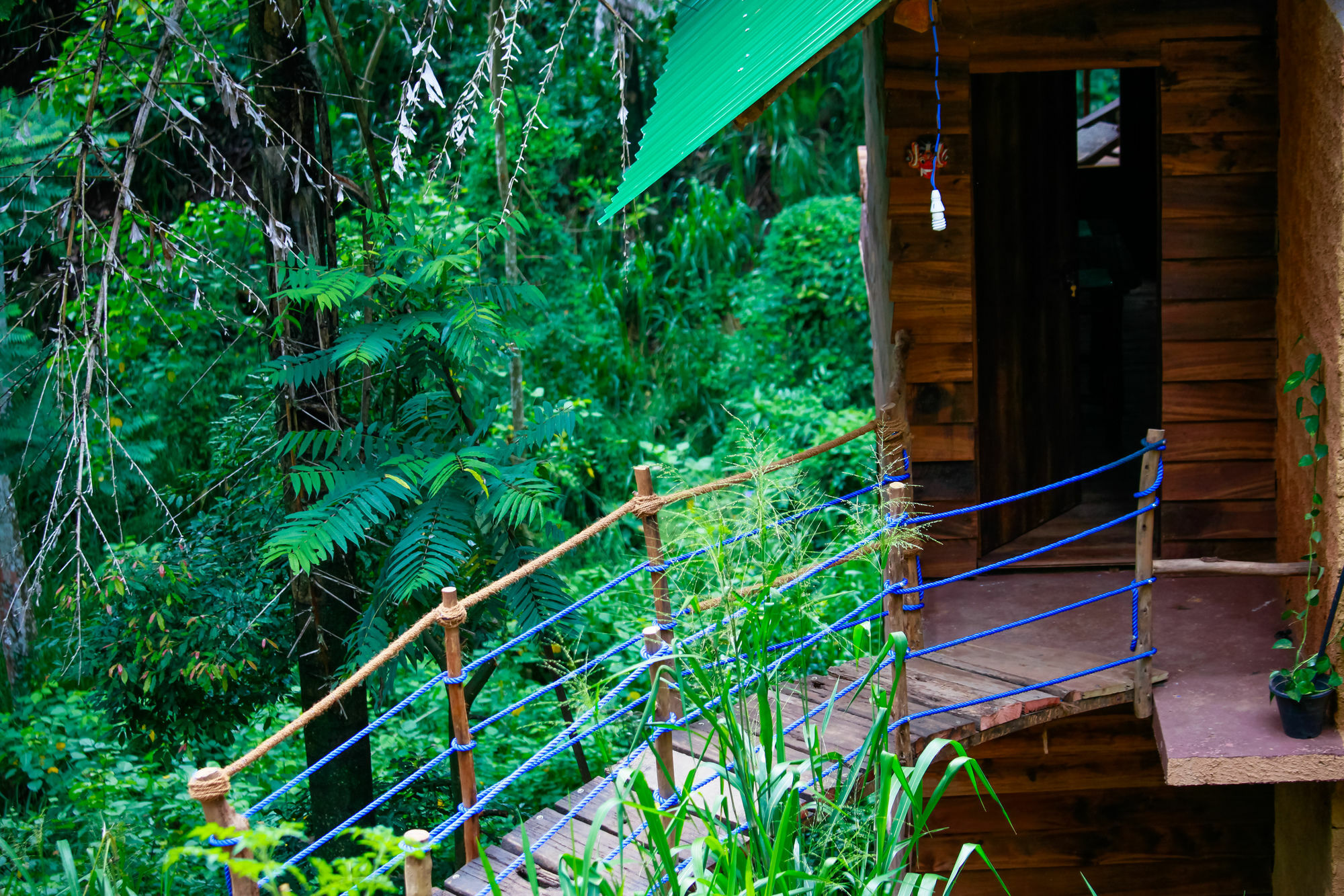 Ella Ecolodge Εξωτερικό φωτογραφία