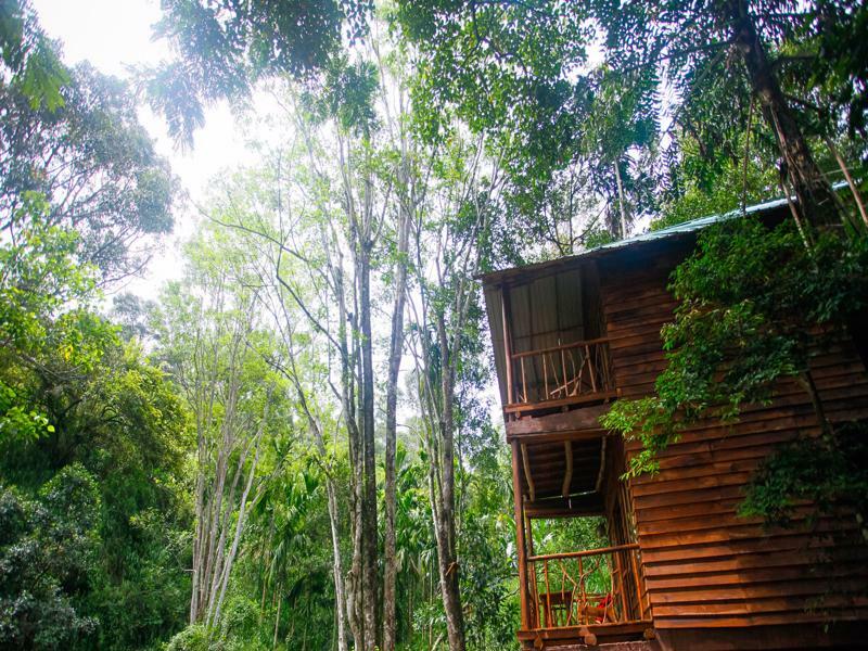 Ella Ecolodge Εξωτερικό φωτογραφία