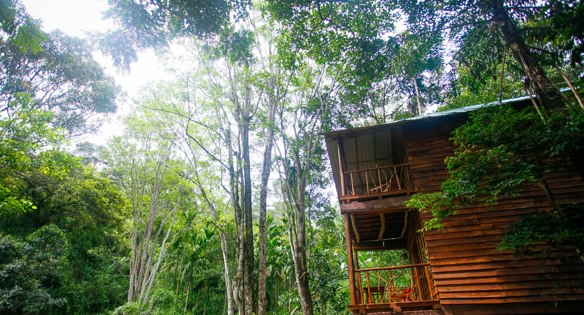 Ella Ecolodge Εξωτερικό φωτογραφία