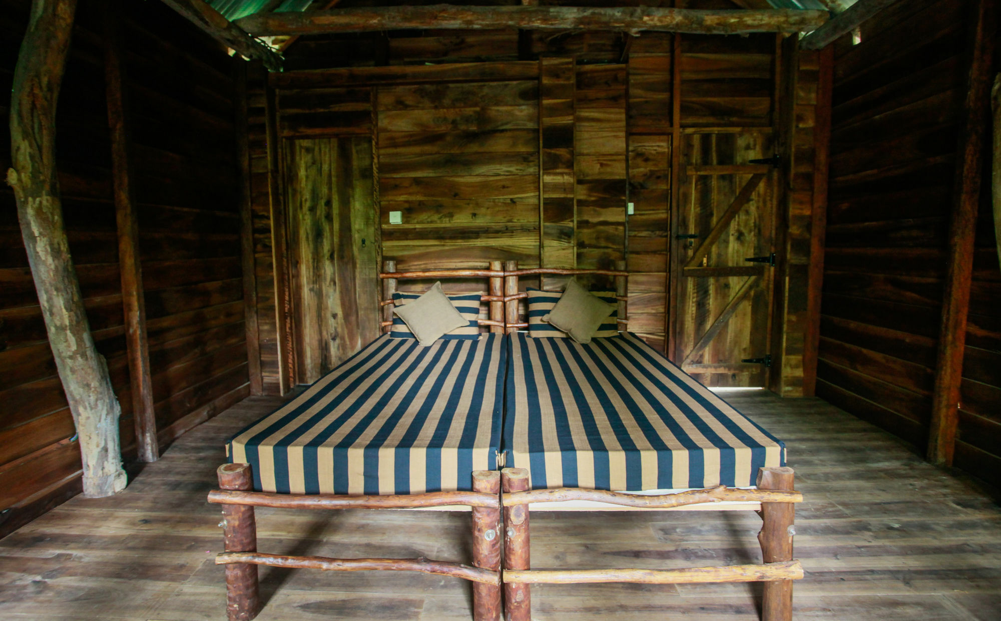 Ella Ecolodge Εξωτερικό φωτογραφία