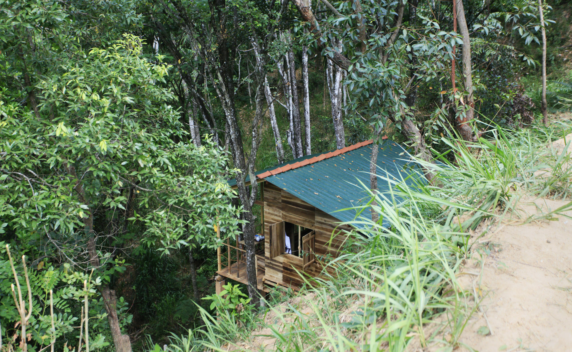 Ella Ecolodge Εξωτερικό φωτογραφία