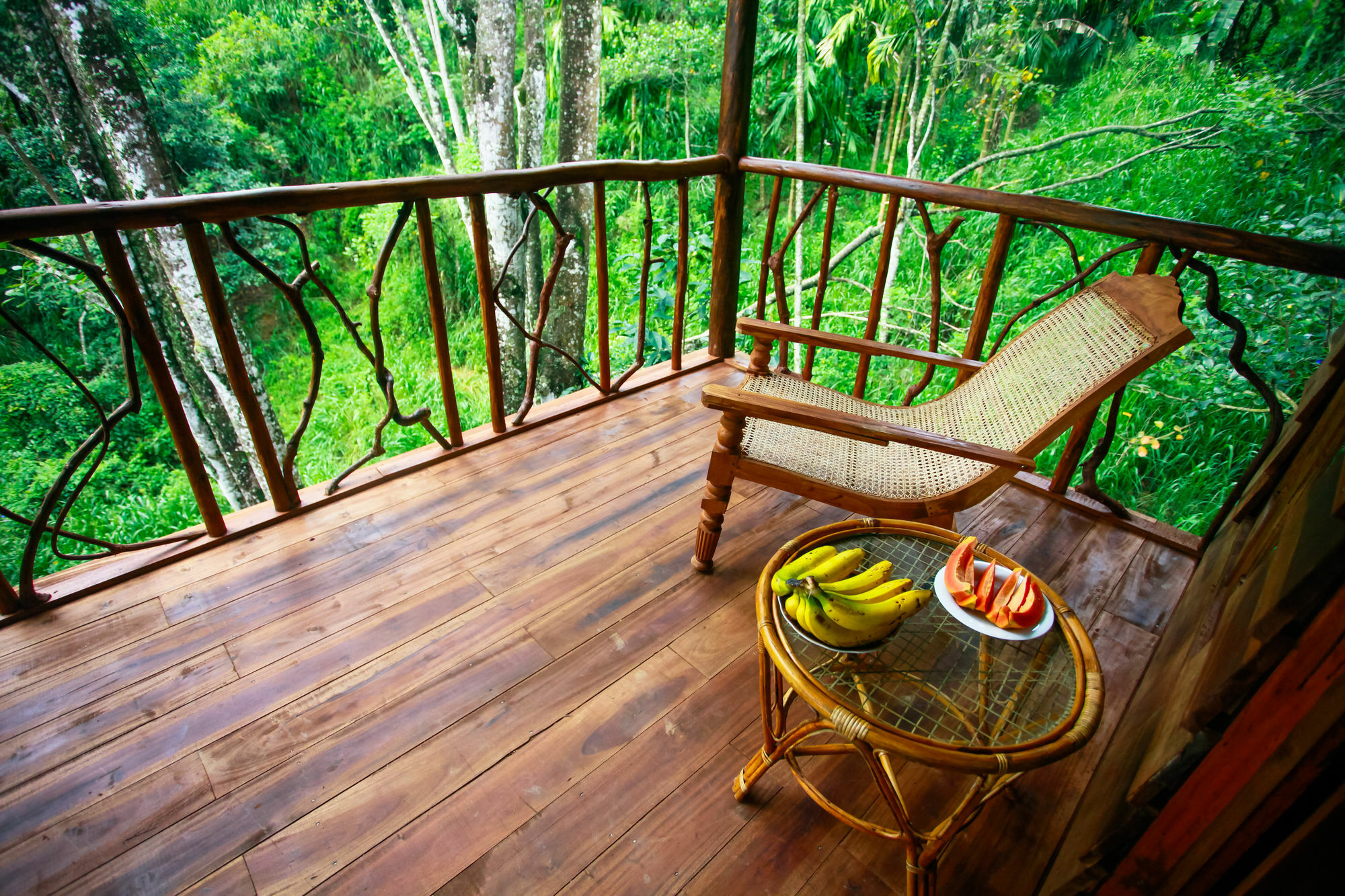 Ella Ecolodge Εξωτερικό φωτογραφία